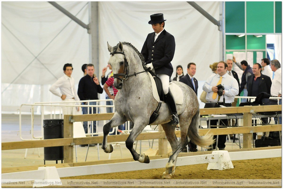 La XXI Edicin del Saln Internacional del Caballo y el Poni se celebrar del 17 al 20 de septiembre en el recinto ferial de Montjuc