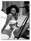 :: Pulse para Ampliar :: Calendario Pirelli ENERO 2006
