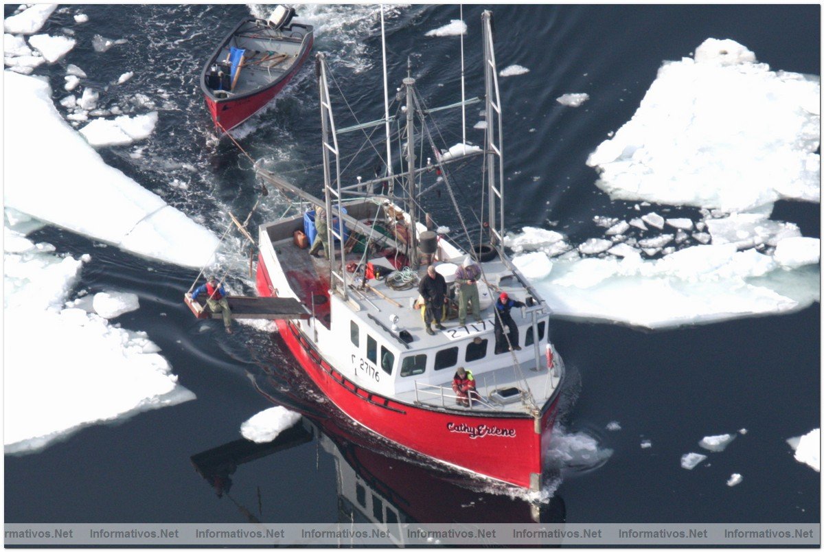 March 29, 2008: Sydney, Nova Scotia: A sealing vessel