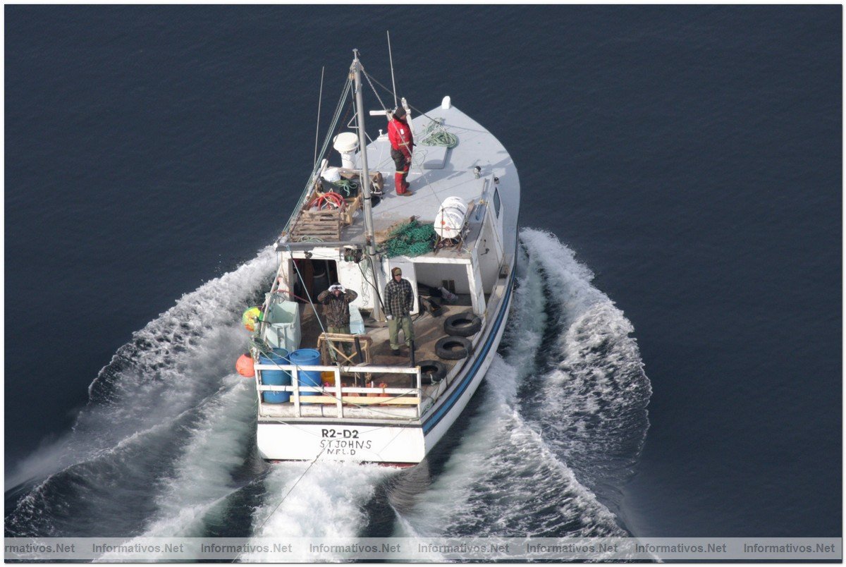 March 29, 2008: Sydney, Nova Scotia: A sealing vessel