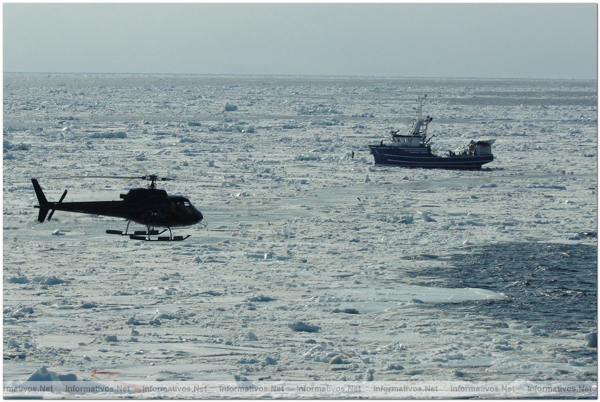 March 29, 2008: Sydney, Nova Scotia: A sealing vessel