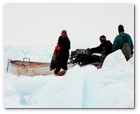 :: Pulse para Ampliar :: O3-24-09 Gulf of St. Lawrence, Canada. Sealers hauling baby seals, first day of hunt
