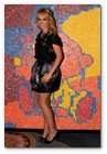 :: Pulse para Ampliar :: VI Gala Min: el mosaico Sugus-Min, formado por 6 paneles, ha sido adquirido por la presentadora y actriz Patricia Conde por un importe de 2.000€