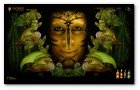 :: Pulse para Ampliar :: Cacique te propone un viaje virtual por el mundo siguiendo tu instinto en una aventura en la que deberás adentrarte en la vegetación e interactuar con sus diferentes formas de vida