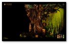 :: Pulse para Ampliar :: Cacique te propone un viaje virtual por el mundo siguiendo tu instinto en una aventura en la que deberás adentrarte en la vegetación e interactuar con sus diferentes formas de vida