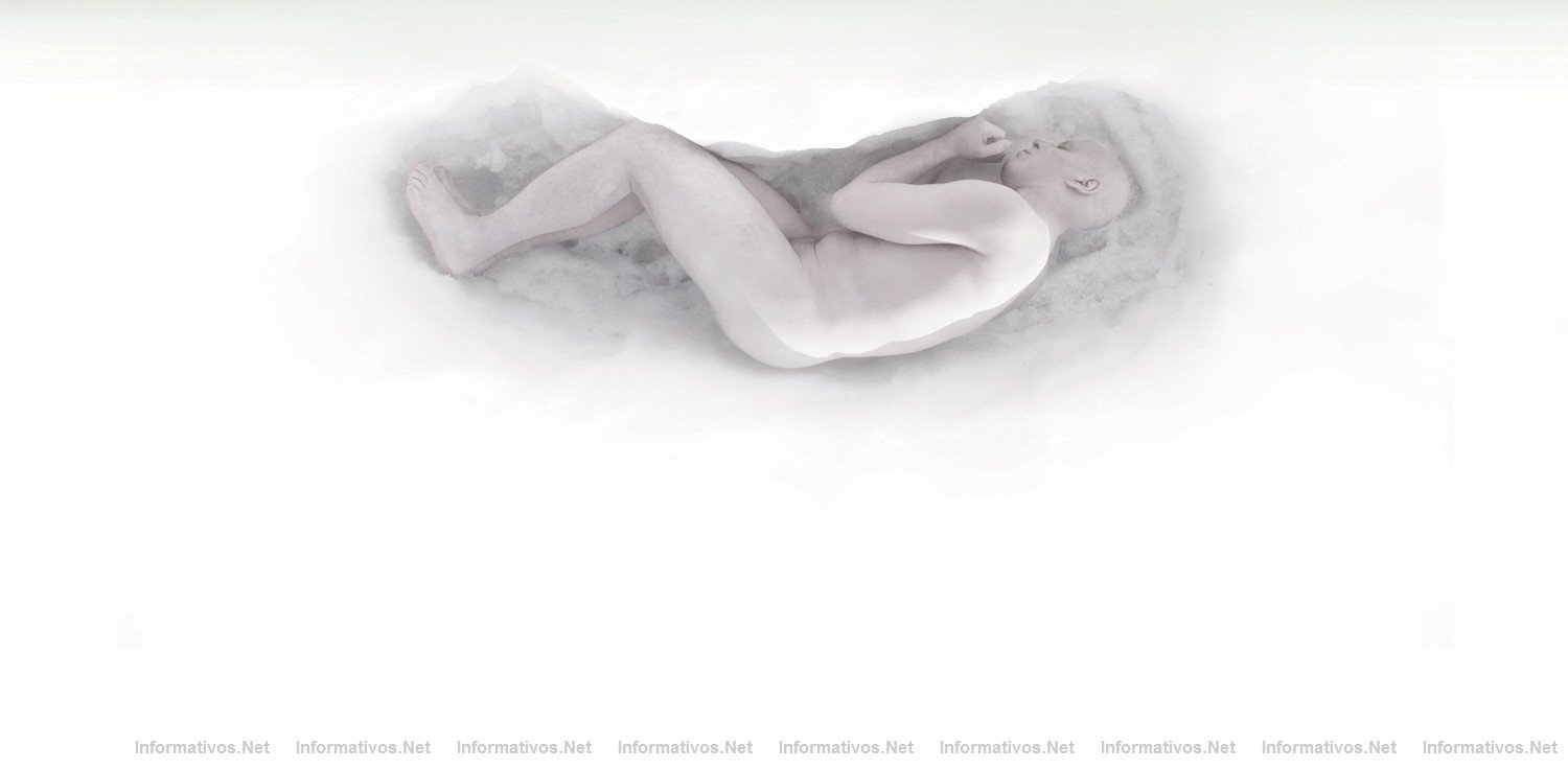 "The Frost" (La escarcha) est dirigida por Ferrn Aud y cuenta con actores como Bibi Andersson y Aitana Snchez-Gijn