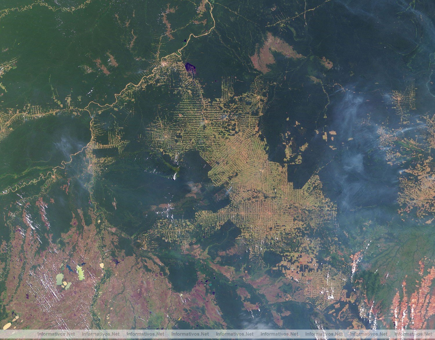 Deforestaci�n del Amazonas: Foto de 2003