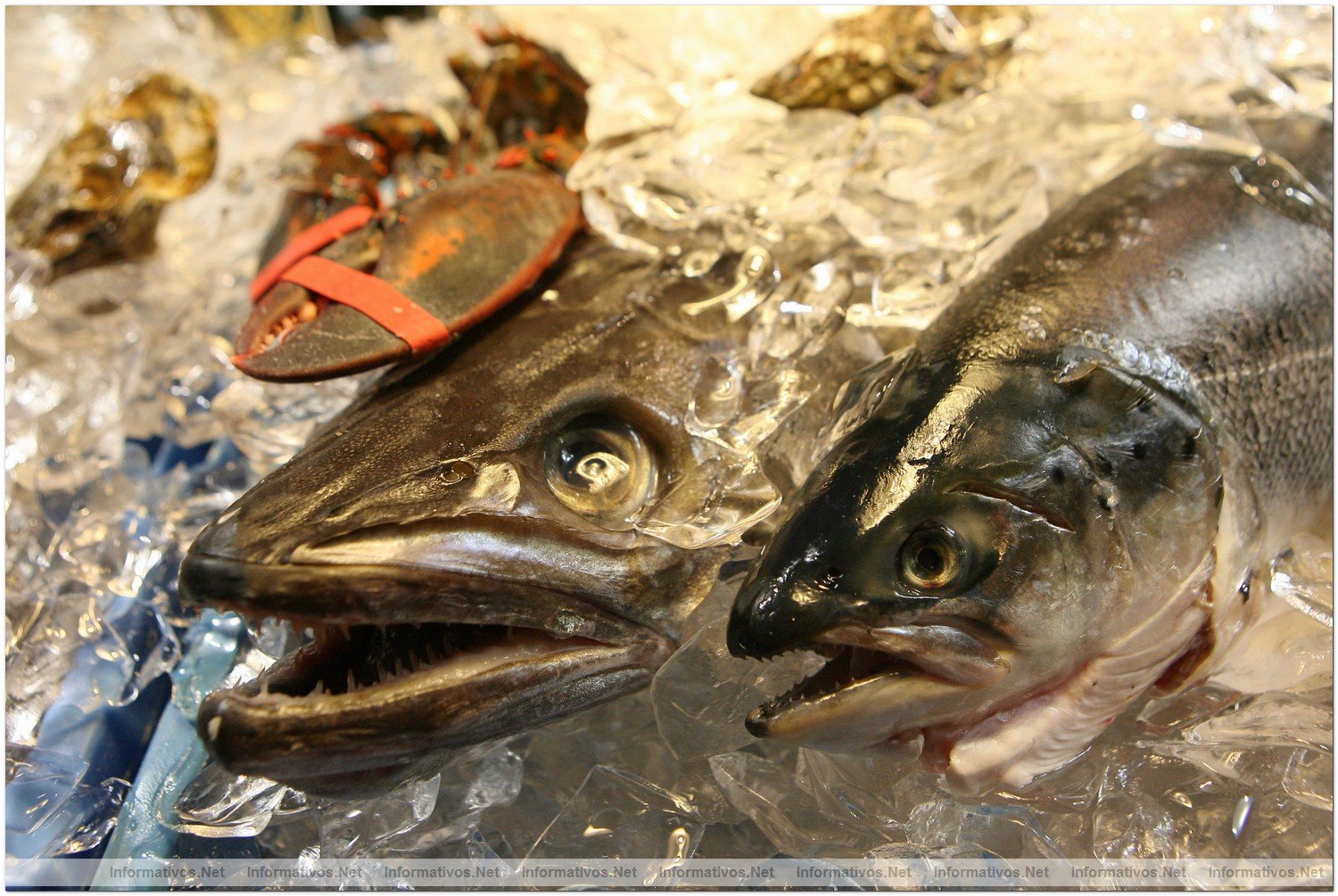 Restaurante 'Moll Oest' en el Puerto de Masnou (Barcelona)