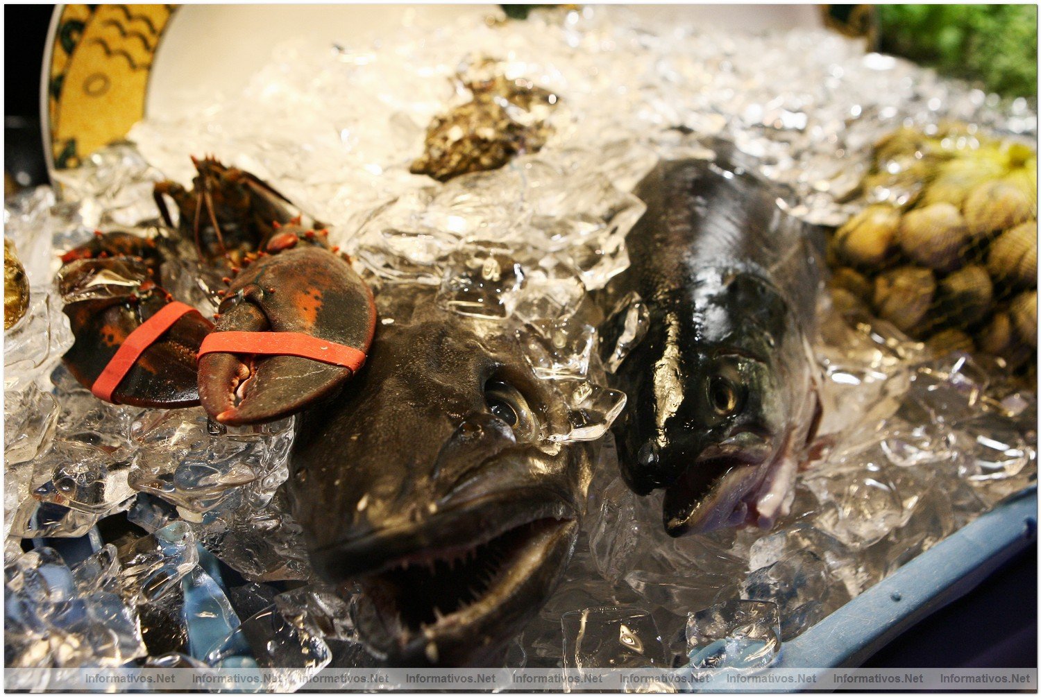 Restaurante 'Moll Oest' en el Puerto de Masnou (Barcelona)