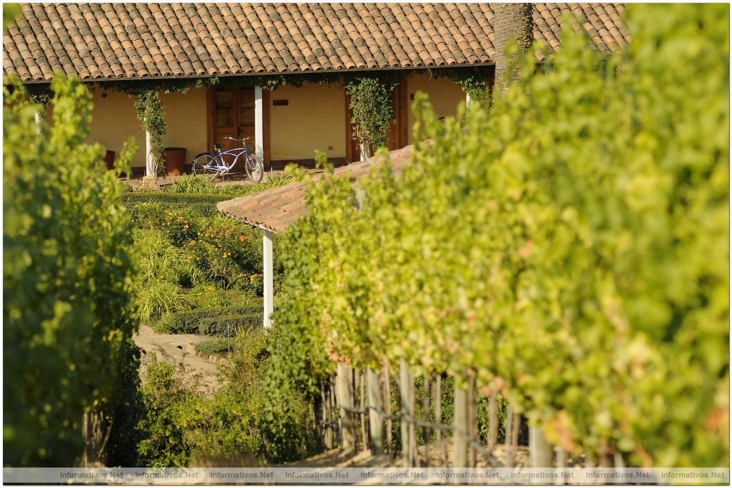 Via Matetic y Patagonia Camp ofrecen un programa turstico de lujo que mezcla la refinada experiencia y sabores del mundo del vino y el contacto con la espectacular naturaleza de la Patagonia.
