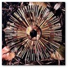 :: Pulse para Ampliar :: Mandala Sikkin”. (2008).  Foto composición sobre papel fuji del observador y artista de la naturaleza Juan Schlosser.