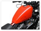 :: Pulse para Ampliar :: 2010, XL1200X, Sportster, XL Forty-Eight, tank