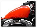 :: Pulse para Ampliar :: 2010, XL1200X, Sportster, XL Forty-Eight, tank
