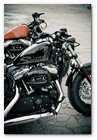 :: Pulse para Ampliar :: Nueva Harley-Davidson Forty-Eight 2010