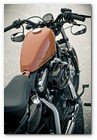 :: Pulse para Ampliar :: Nueva Harley-Davidson Forty-Eight 2010