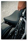 :: Pulse para Ampliar :: Nueva Harley-Davidson Forty-Eight 2010