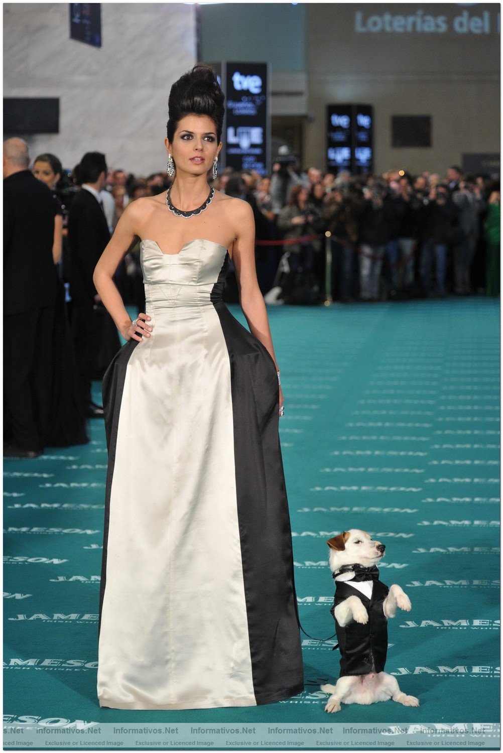 MAD14FEB010.- Premios Goya 2010. Pancho (el perro)