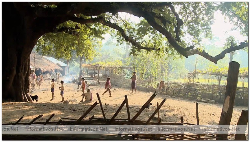 Captura del vdeo documental de Survival sobre los Dongria kondh: uno de los pueblos indgenas ms remotos de la India en lucha por evitar que su montaa sagrada sea convertida en una mina descubierta propiedad de Vedanta.