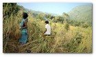 :: Pulse para Ampliar :: Captura del vídeo documental de Survival sobre los Dongria kondh: uno de los pueblos indígenas más remotos de la India en lucha por evitar que su montaña sagrada sea convertida en una mina descubierta propiedad de Vedanta.