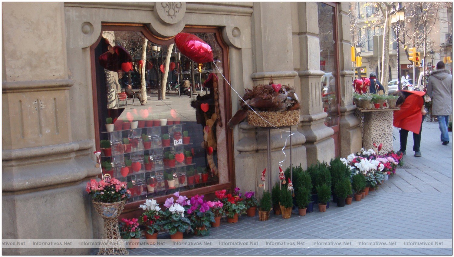 Turisme de Barcelona entrega los Premios Top 10 a los mejores escaparates de la ciudad: Maria Pons� Flors, por la riqueza, variedad y originalidad en las composiciones entre los elementos florales, vegetales y de complementos a pie de calle