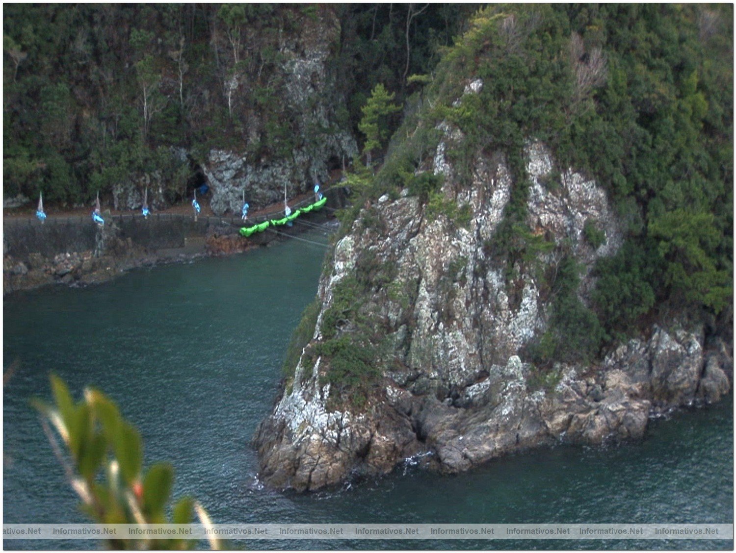 The Cove in Taiji, Japan tucked away in a National Park is a natural fortress and the site of the largest slaughter of dolphins in the world.