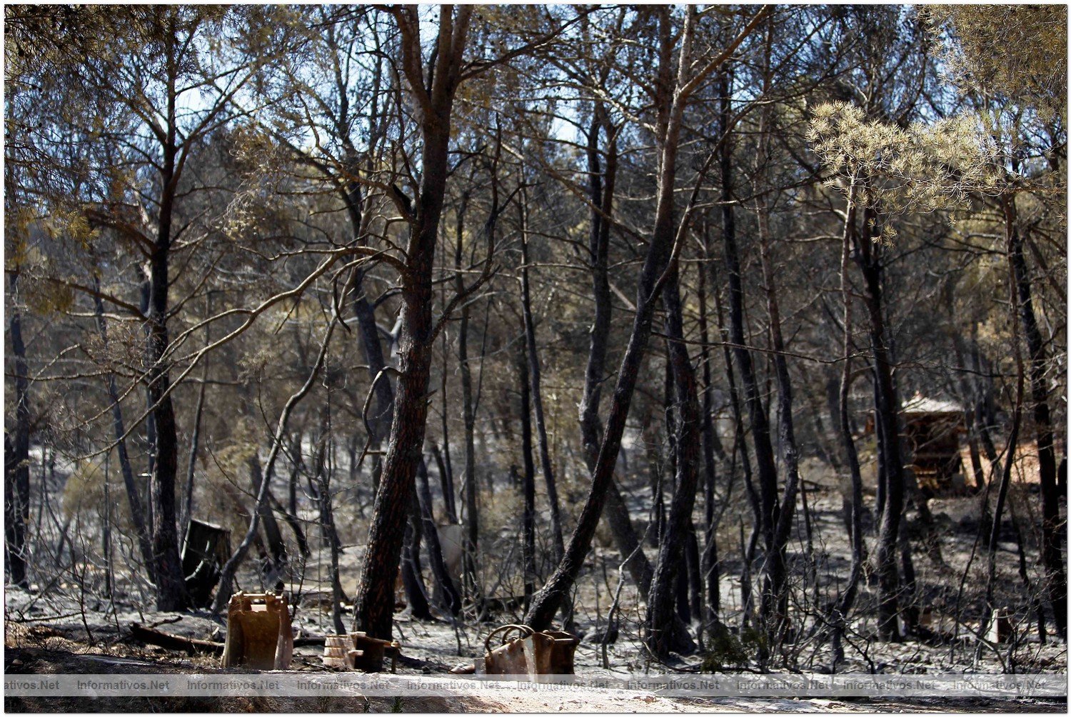23 Agosto 2010.- Foto del incendio en Cala Benirras, Ibiza, donde han ardido 150 hectreas.