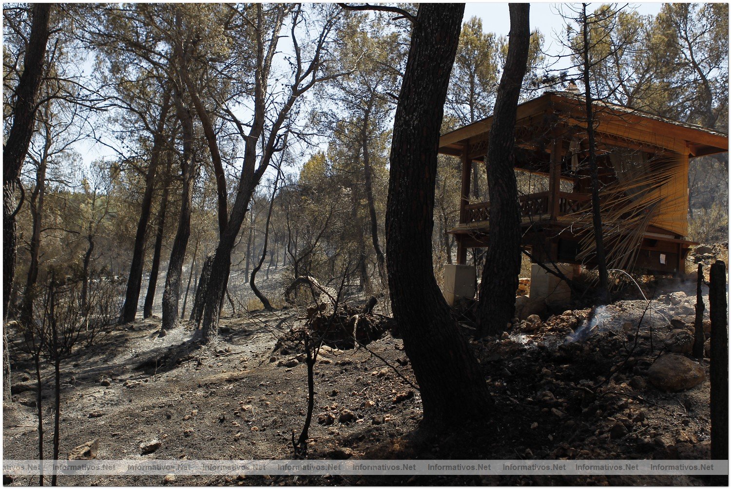 23 Agosto 2010.- Foto del incendio en Cala Benirras, Ibiza, donde han ardido 150 hectreas.