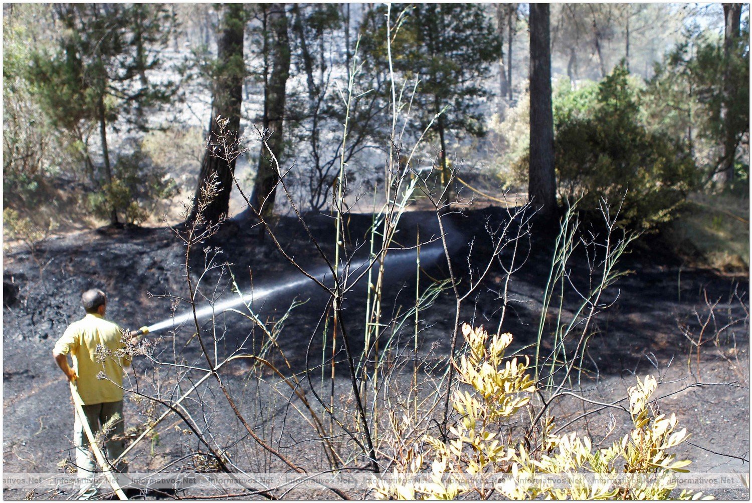 23 Agosto 2010.- Foto del incendio en Cala Benirras, Ibiza, donde han ardido 150 hectreas.