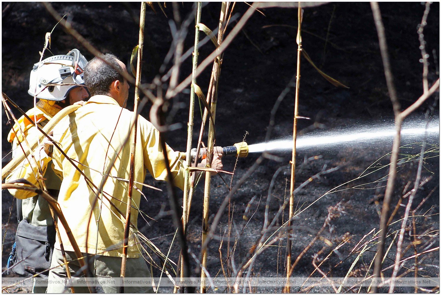 23 Agosto 2010.- Foto del incendio en Cala Benirras, Ibiza, donde han ardido 150 hectreas.