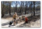 :: Pulse para Ampliar :: 23 Agosto 2010.- Foto del incendio en Cala Benirras, Ibiza, donde han ardido 150 hectáreas.