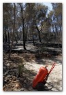 :: Pulse para Ampliar :: 23 Agosto 2010.- Foto del incendio en Cala Benirras, Ibiza, donde han ardido 150 hectáreas.