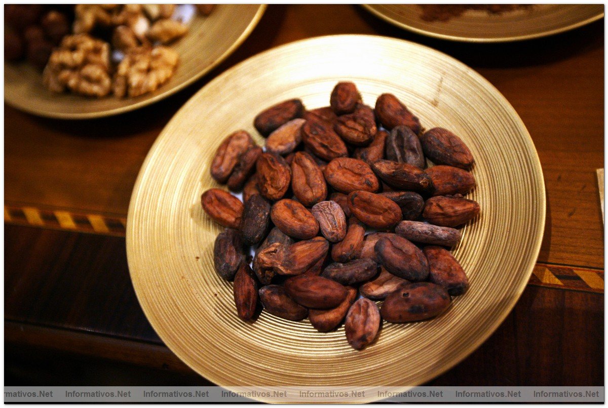 BCN21SEP010.- Presentacin de la coleccin de Lindt para el Invierno 2010 en el Hotel Palace de Barcelona. Cacao vrgen.