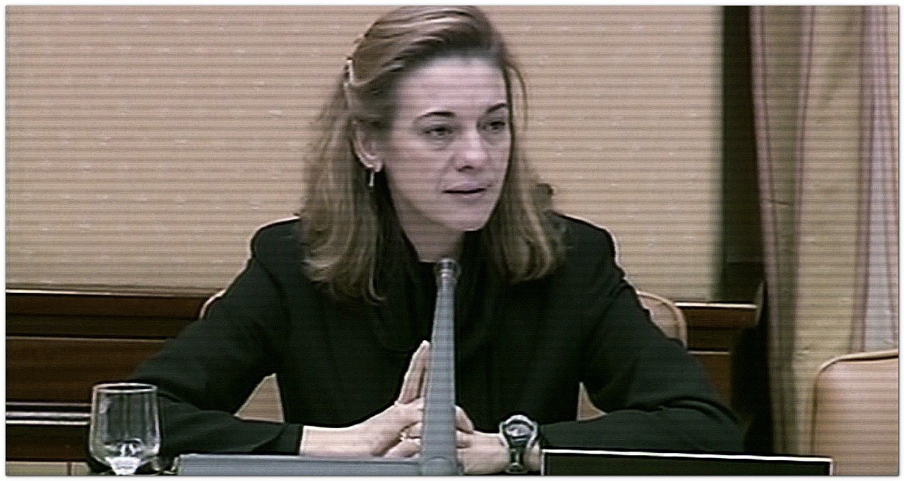 Un Largo Invierno, con Pilar Manjn (Presidenta de la Asociacin 11M Afectados del Terrorismo) como protagonista, cuenta la historia de lo que han supuesto estos ltimos seis aos para muchas de las vctimas y afectados del que fue el mayor ataque terrorista en suelo europeo de la historia.