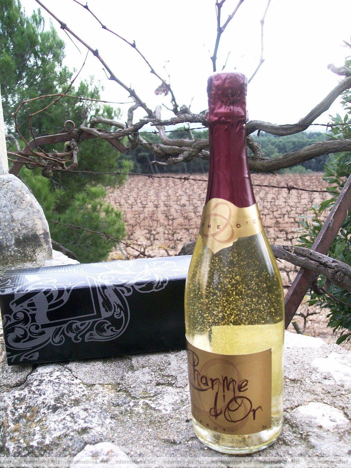 DIC010.- Las Bodegas Soler-Jov acaban de lanzar Charme dOr, un vino espumoso "cava brut" que contiene polvo de oro alimenticio de 24 quilates.