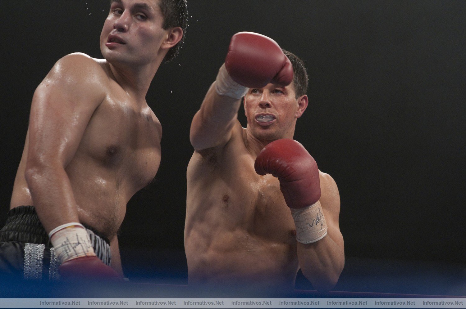 THE FIGHTER: estreno en Espaa 11 de Febrero