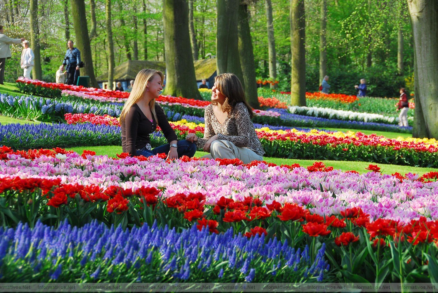 MAZ011.- Bettina Wulff, esposa del presidente de la Repblica Federal de Alemania, ha inaugurado  la 62 exposicin de flores de Keukenhof