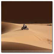 :: Pulse para Ampliar :: ENE2012.- Marc Coma consigue una plata en el Dakar