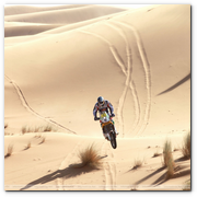 :: Pulse para Ampliar :: ENE2012.- Marc Coma consigue una plata en el Dakar