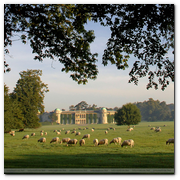 :: Pulse para Ampliar :: Goodwood House and sheep in Park