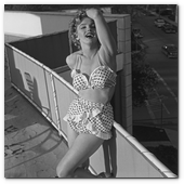 :: Pulse para Ampliar :: American actress Marilyn Monroe (1926 - 1962) posing on a rooftop circa 1951. (Photo by Archive Photos/Getty Images)