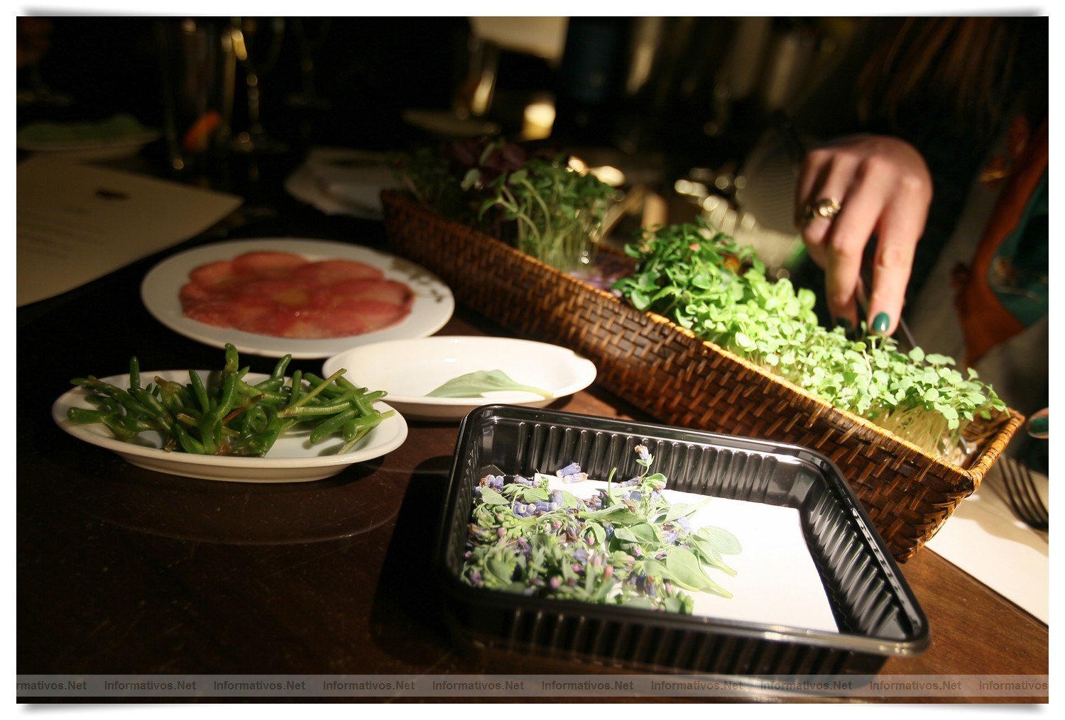 BCN22MAR012.- Degustación de microvegetales de Koppert Cress en 'Il Giardinetto'. Son plantas frescas que se utilizan para resaltar sabores de carnes, pescados, cocteles... de cortan al momento, con una tijeras, de los minijardines que se montan en las mesas. Crecen sobre una base de celulosa por lo que no hay riesgo de contaminación cruzada por la tierra.