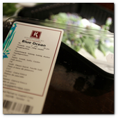 BCN22MAR012.- Degustación de microvegetales de Koppert Cress en 'Il Giardinetto'. Blue Ocean, es la flor de la Oyster Leave y da un sabor a percebes
