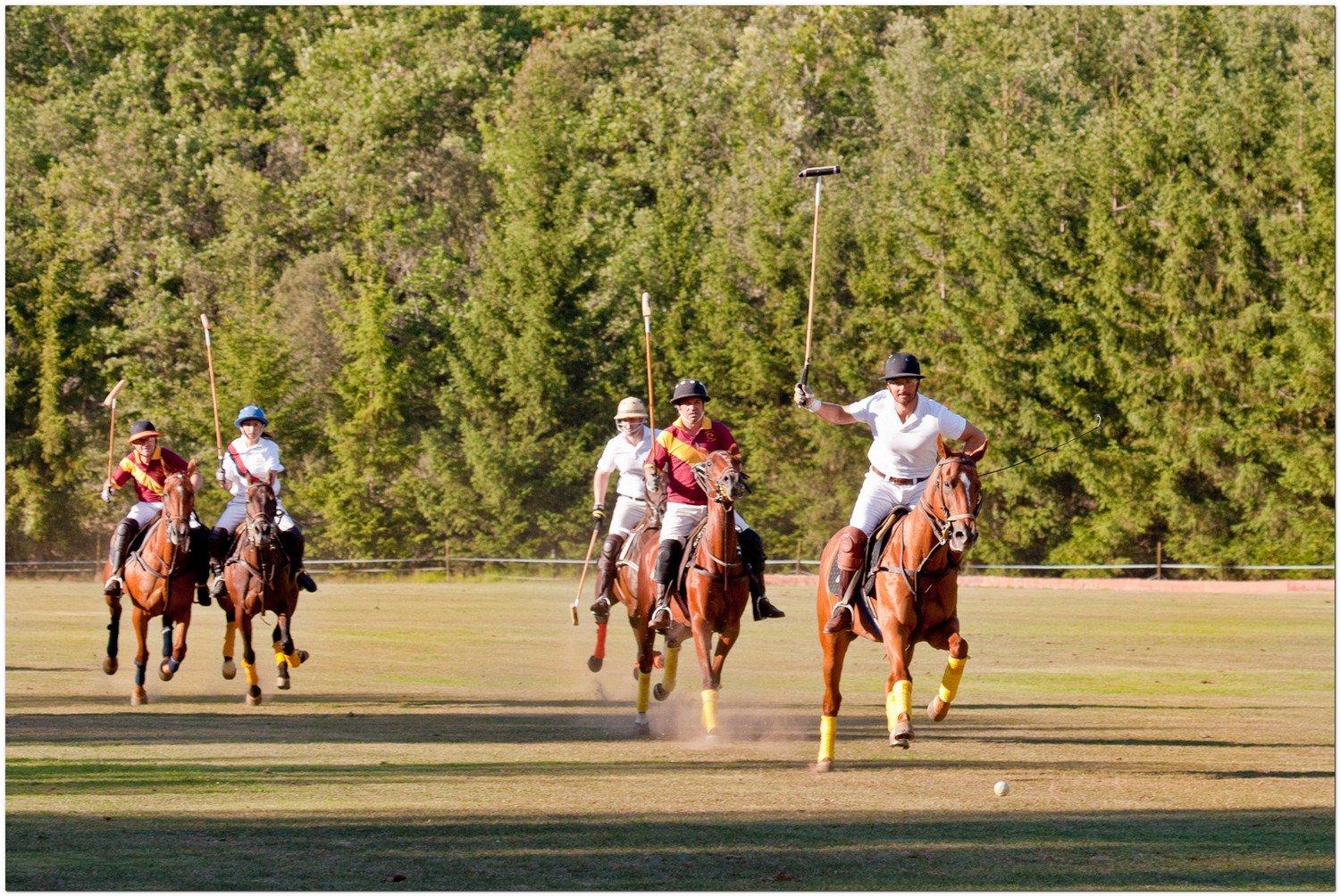 CIRCA presenta su nuevo equipo de polo para competiciones europeas con un ajustado triunfo en el Trofeo Tonete Ayesa