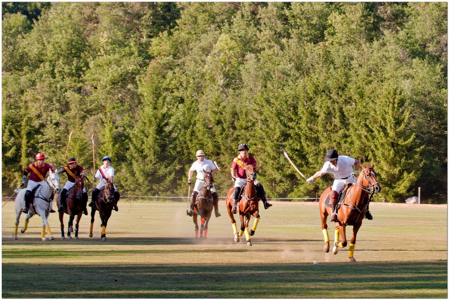 CIRCA presenta su nuevo equipo de polo para competiciones europeas con un ajustado triunfo en el Trofeo Tonete Ayesa