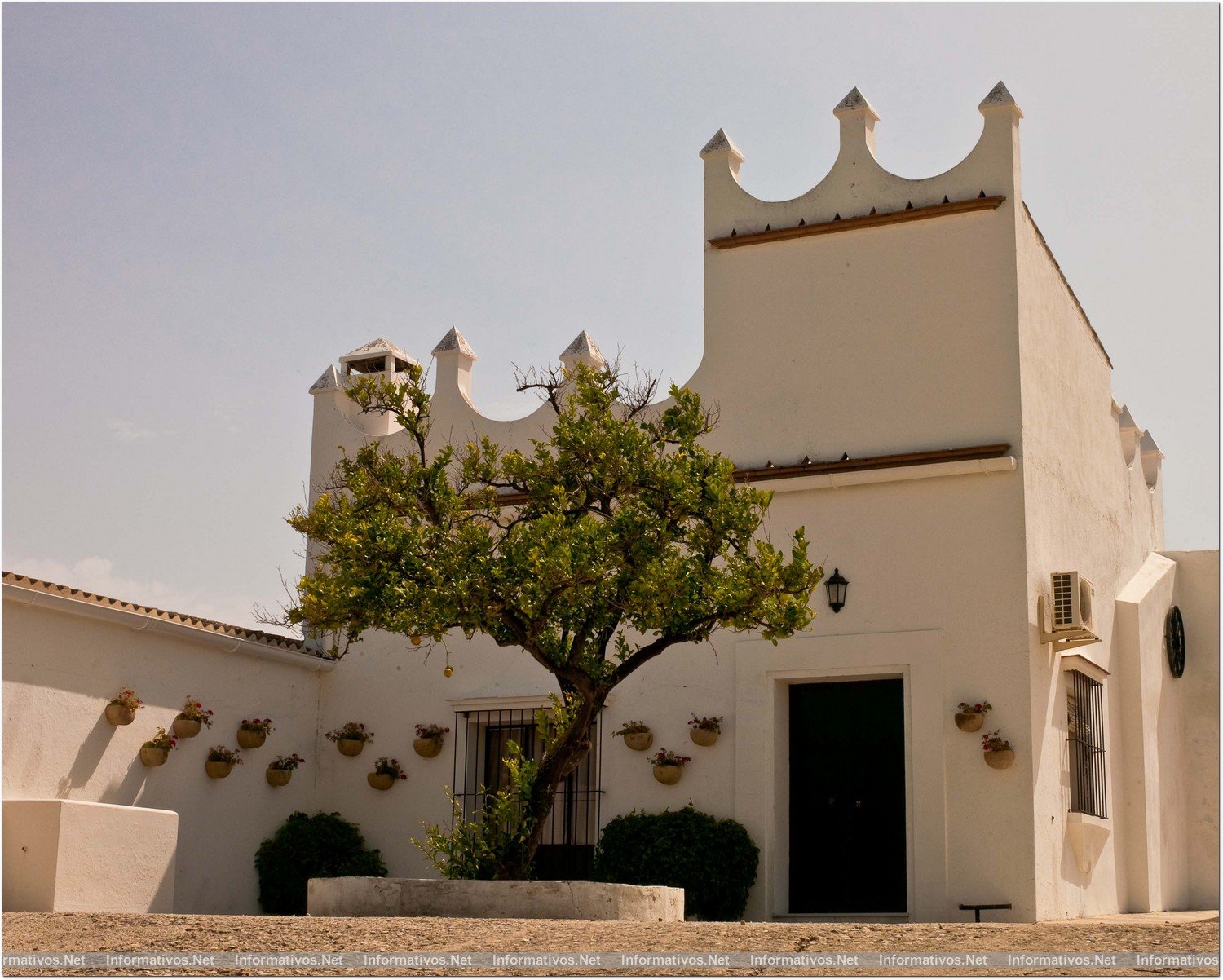 Finca Moncloa: un fino tinto de Cádiz que ha logrado destacar en los casi incuestionables dominios de Jerez