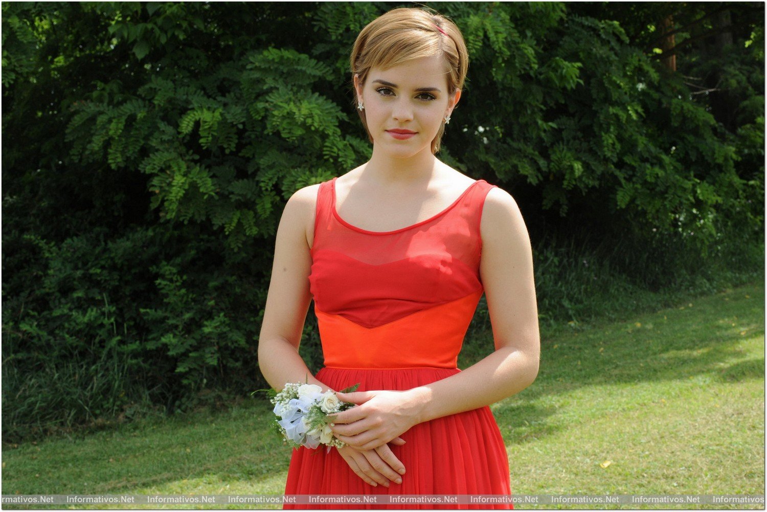 Las ventajas de ser un marginado (THE PERKS OF BEING A WALLFLOWER): estreno en cines en España el 8 de febrero.