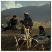 :: Pulse para Ampliar :: Fotograma de "Aquí y Allá", ganadora del Gran Premio de la Semana de la Crítica en la pasada edición del Festival de Cannes