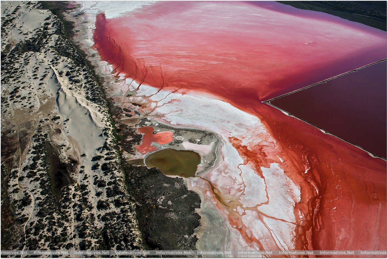 PLANET OCEAN: Hutt Lagoon, lago salado y cultivo de algas en Australia.