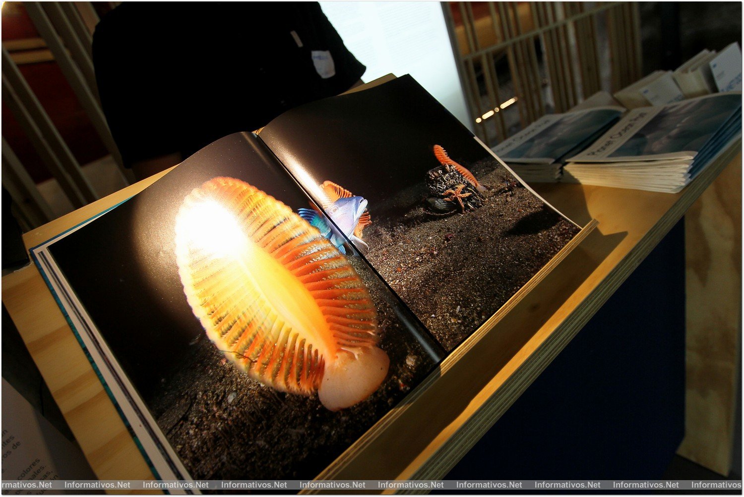 BCN19JUN013.- Inauguración de la exposición “Planet Ocean” con Yann Arthus Bertrand en el Museo Marítimo de Barcelona
