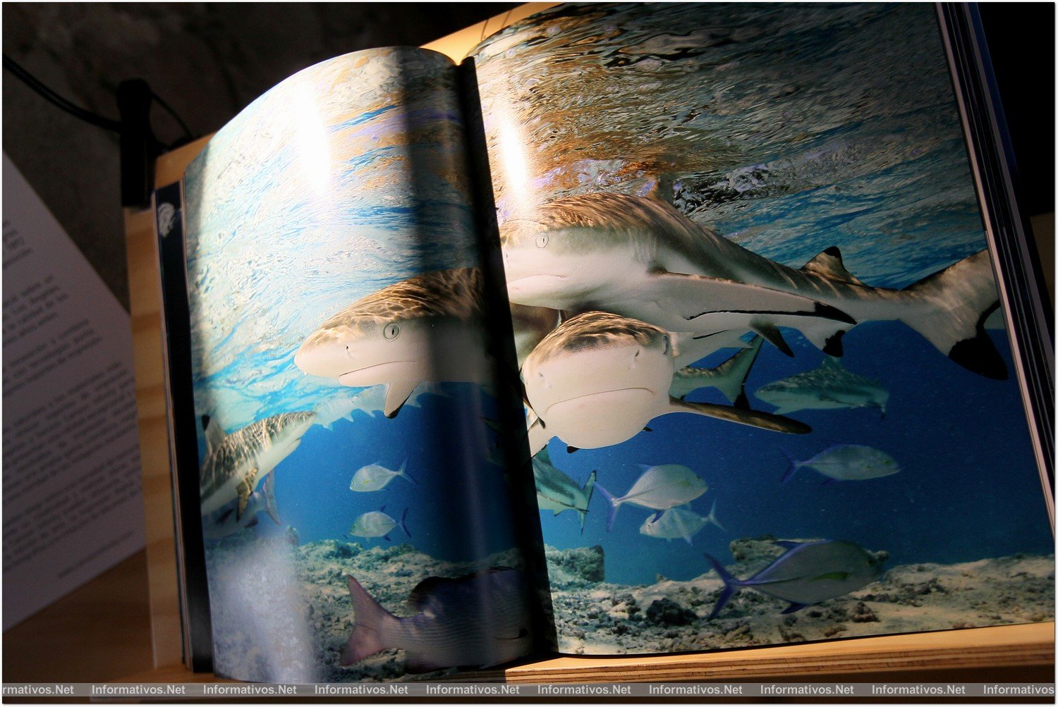 BCN19JUN013.- Inauguración de la exposición “Planet Ocean” con Yann Arthus Bertrand en el Museo Marítimo de Barcelona